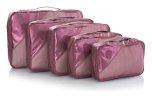 Heys Metallic Packing Cube 5pc Burgundy