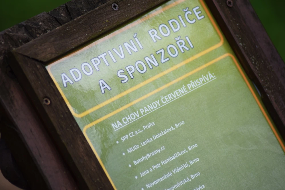 Adoption au zoo de Brno