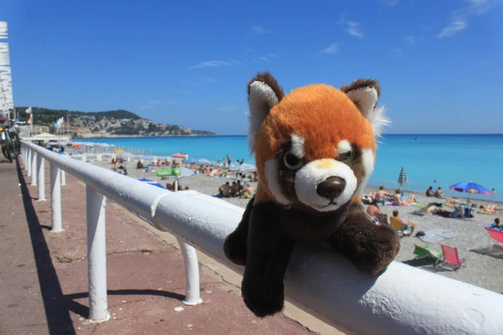Panda à Nice