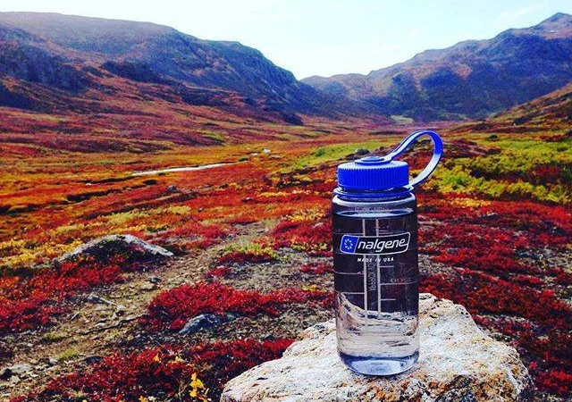 Gourde Nalgene