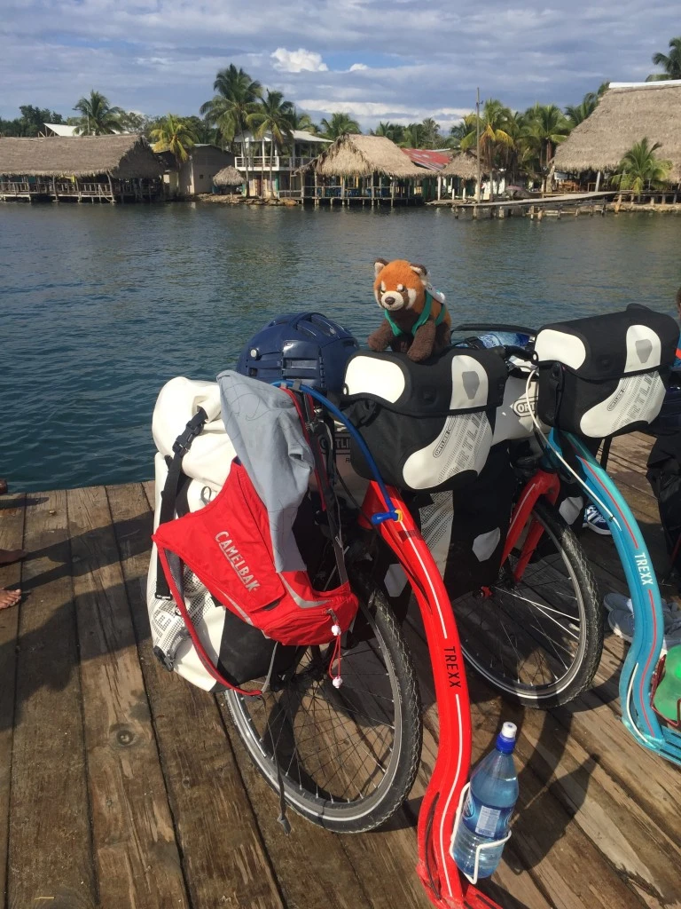 panda sur une trottinette