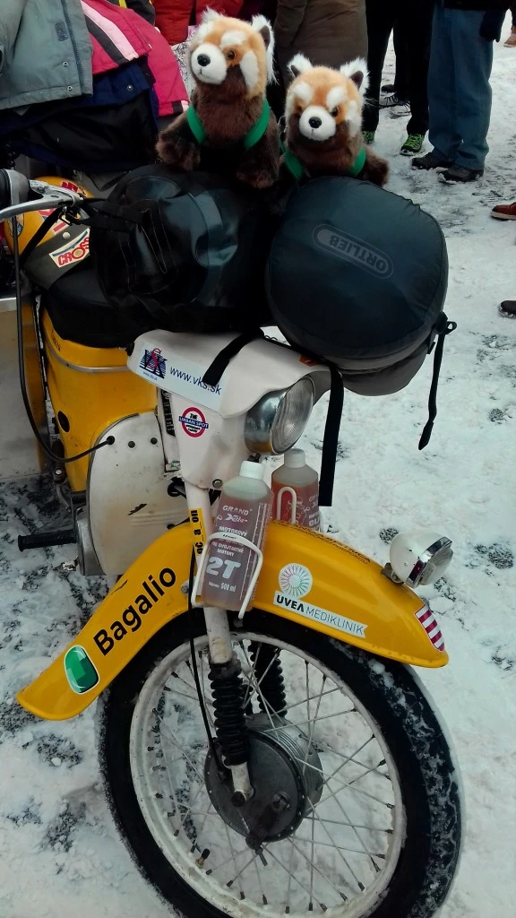 Pandas Bagalio sur Pionýr
