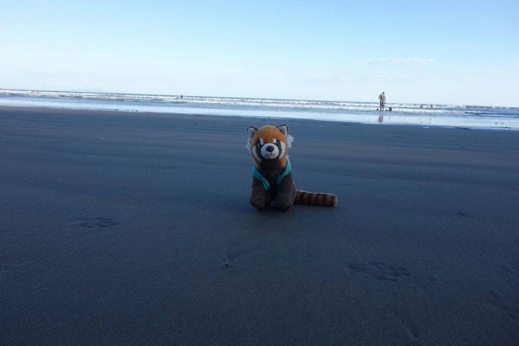 panda en trottinette