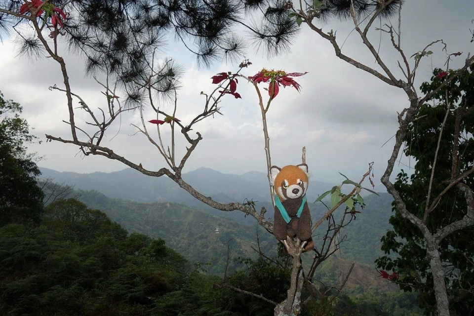 Voyage en Colombie