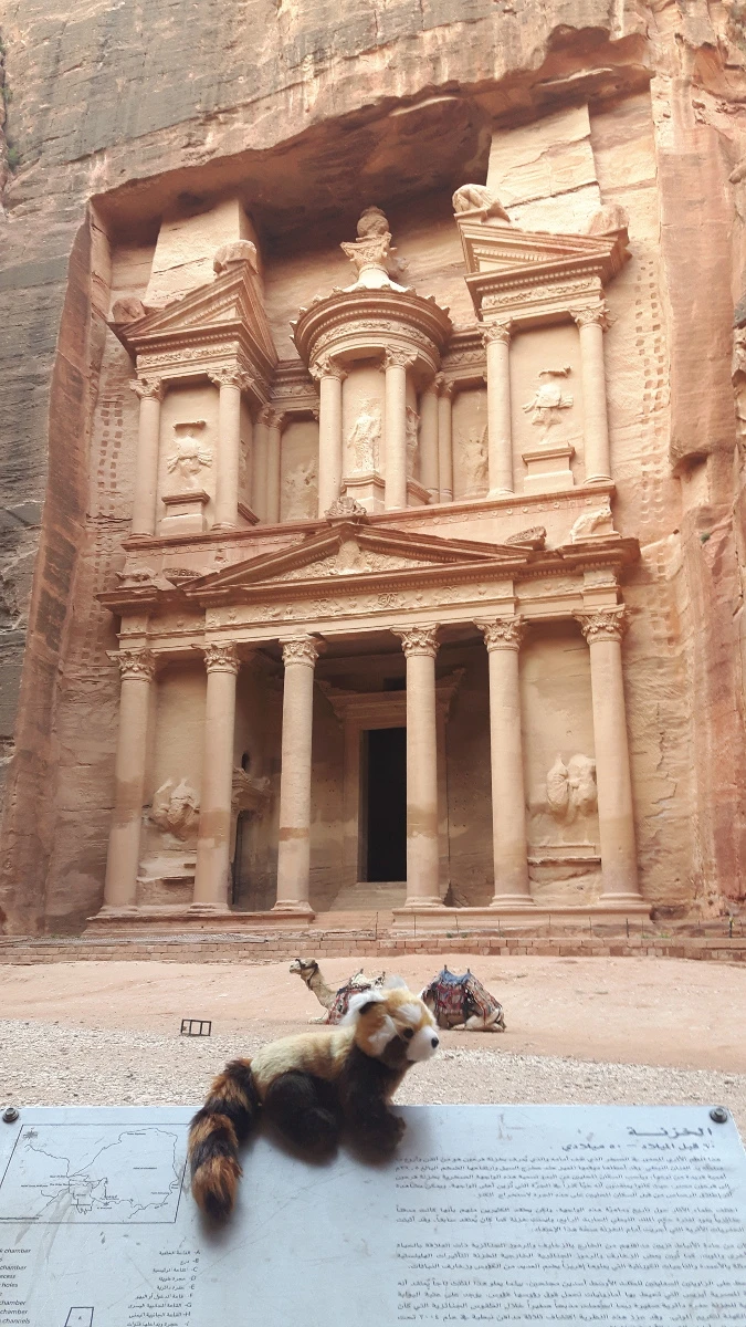 panda en Jordanie