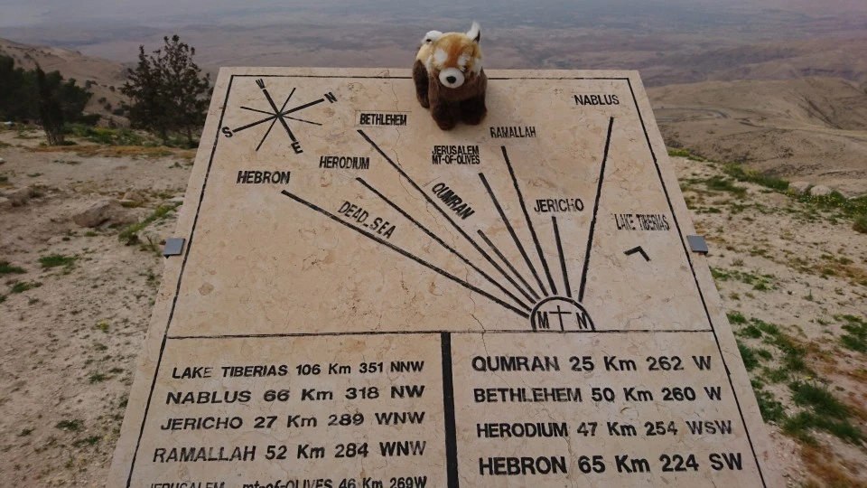 panda en Jordanie