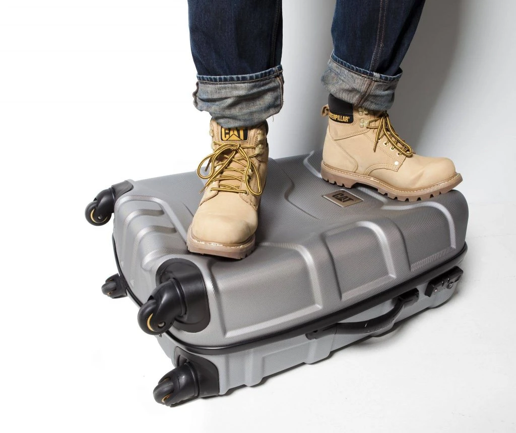 valise cat