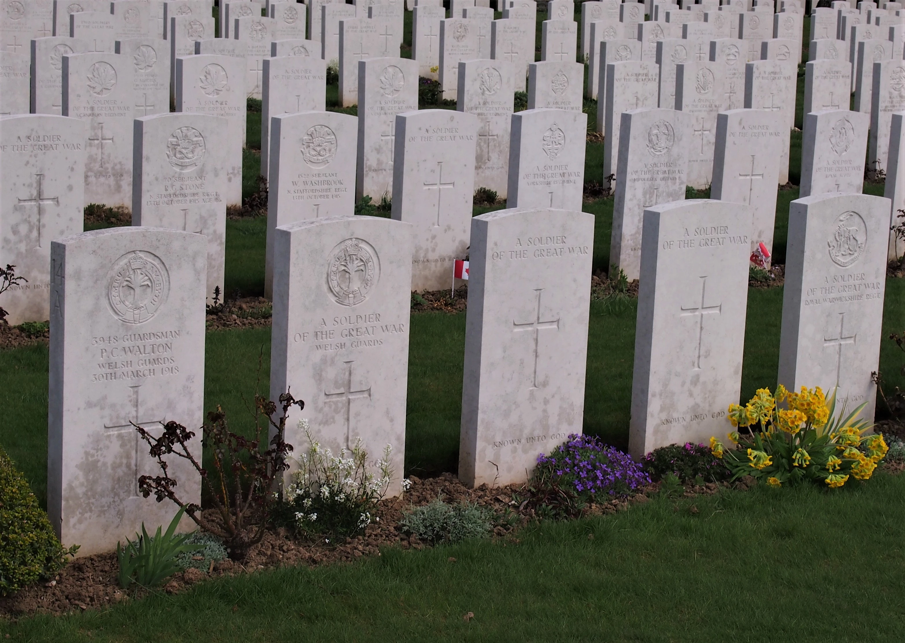 cimetière avec des pierres blanches
