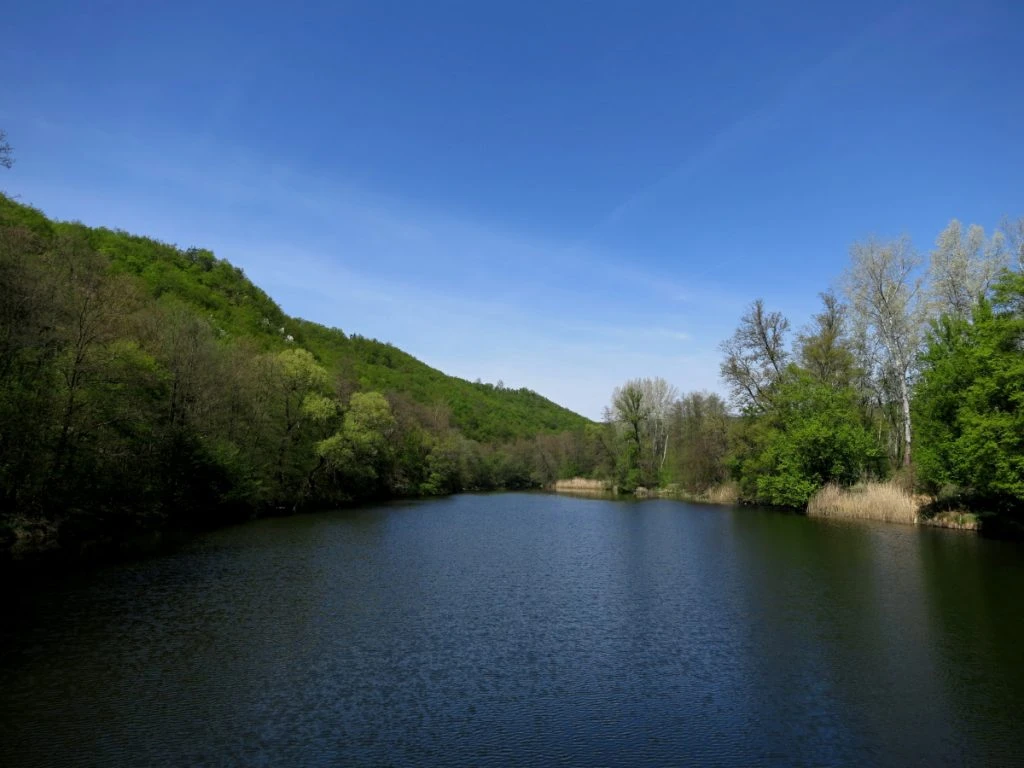 Vue sur la rivière Dyje
