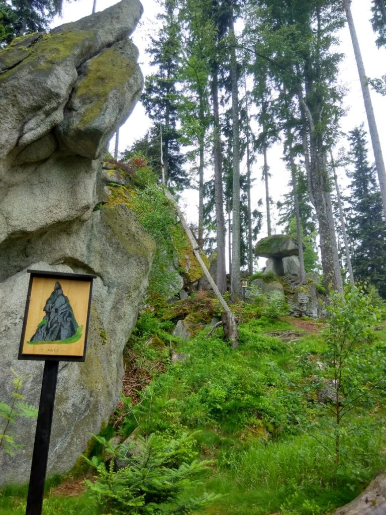 Šumava - Sentier de l'ours