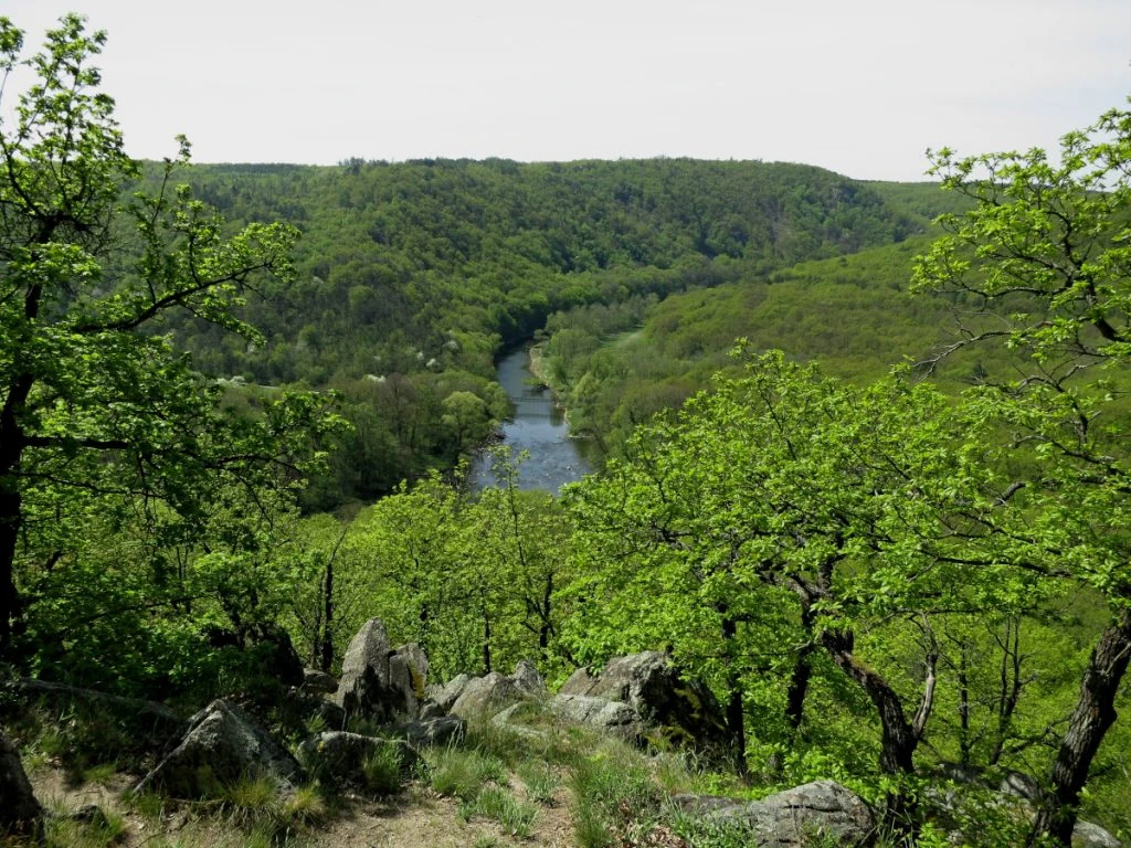 Parc national de Podyjí