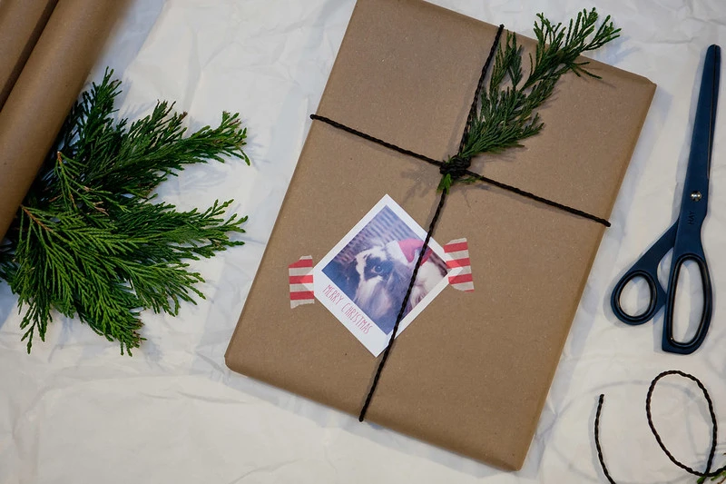 Brindilles et pommes de pin sur les cadeaux