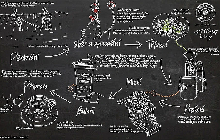 l'histoire et les voyages à la découverte des saveurs du café